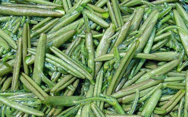 春天常吃的野菜,营养价值高,还具有药用功效,深受农民喜爱