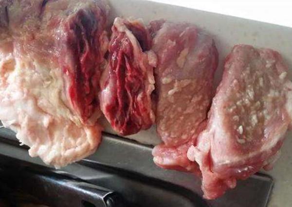 买猪肉时怎么避免买到猪婆肉记住以下两点一挑一个准