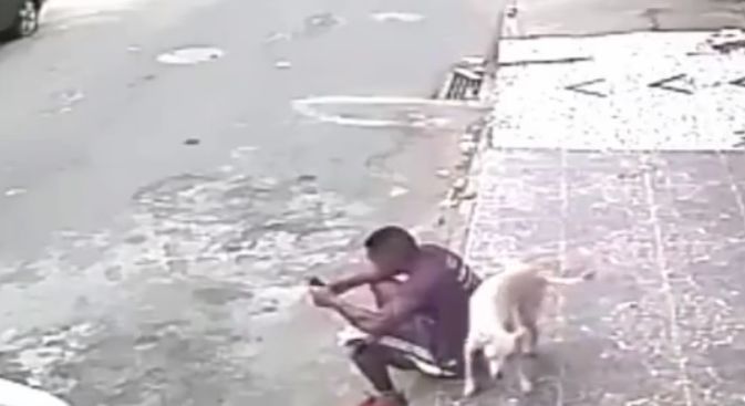 男子做路边玩手机遭狗狗突然袭击，接下来的让人哭笑不得休闲区蓝鸢梦想 - Www.slyday.coM