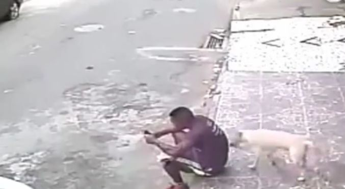 男子做路边玩手机遭狗狗突然袭击，接下来的让人哭笑不得休闲区蓝鸢梦想 - Www.slyday.coM