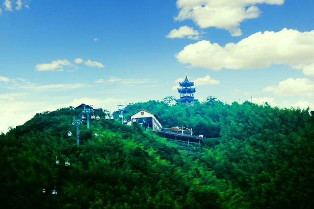 每一口呼吸都是"深氧"新鲜旅行事 2020-07-23 10:21:02 宜兴竹海风景