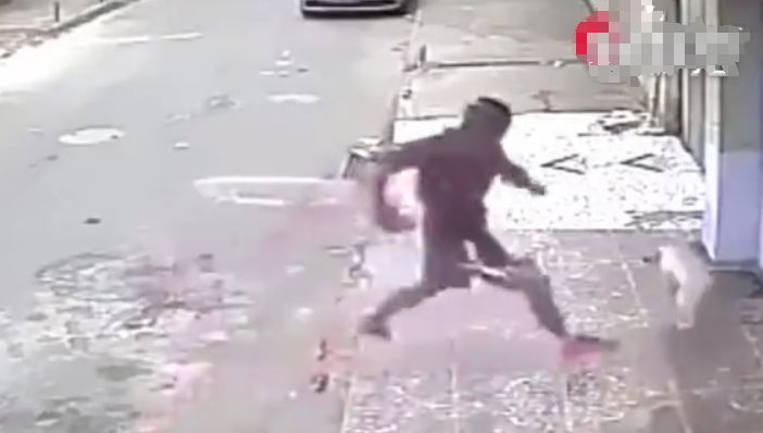 男子做路边玩手机遭狗狗突然袭击，接下来的让人哭笑不得休闲区蓝鸢梦想 - Www.slyday.coM