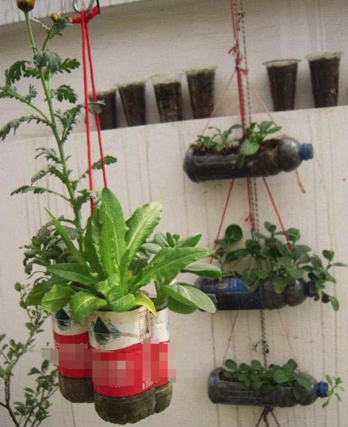 阳台盆栽花草果蔬没有花盆怎么办改造它们教你轻松解决难题