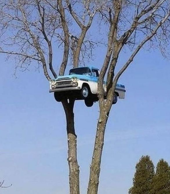 世界上10张"出乎意料"的照片,这难道是拥有超能力吗?