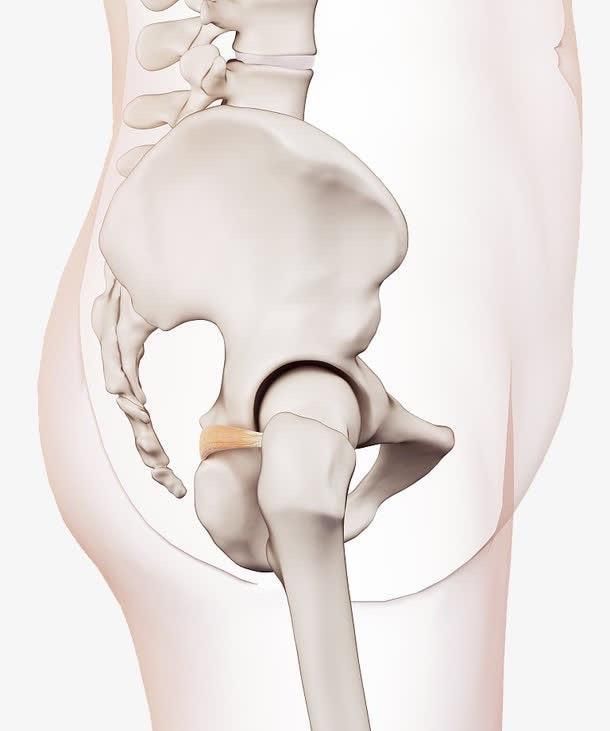 产后妈妈们的骨盆还好吗?来测试一下就知道了!