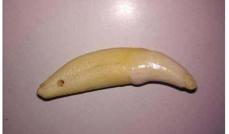 的,这个风水东西真是不得了,因为狗能够看见了一些人类看不见的东西