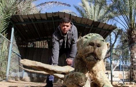 狮子在动物园变成干尸,真相让人心痛!