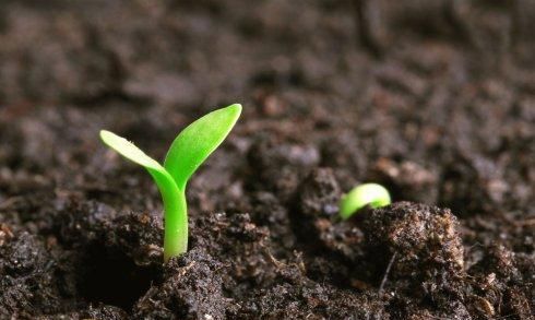 过度还未危害人体,因为我们日常食用的粮食都是由化肥滋润下产生的