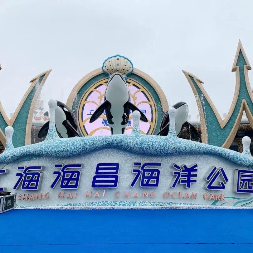 限时登记丨上海海昌海洋公园家庭年卡登记入口|海昌海洋公园|上海_新浪新闻