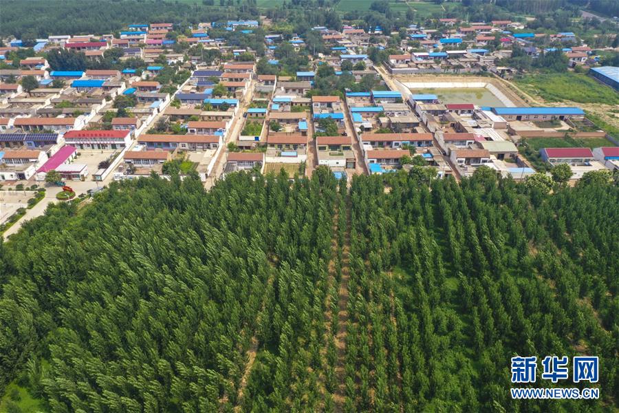 河北衡水:改善人居环境 点"靓"村民生活|衡水市|农业农村|河北_新浪