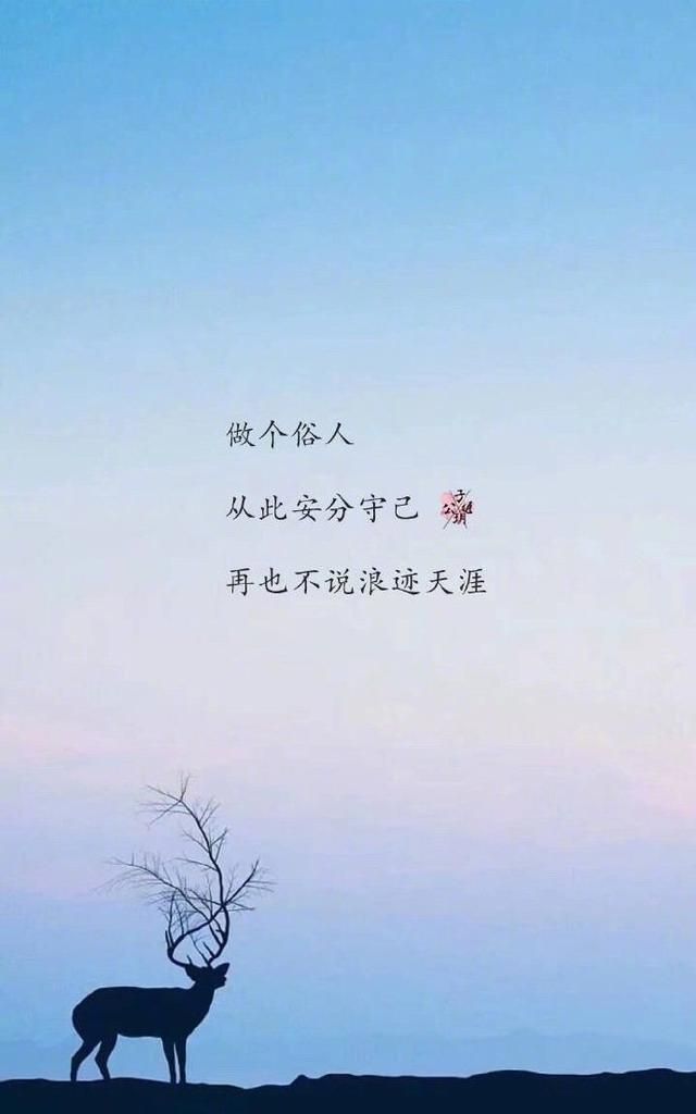 富有哲理的人生感悟语录意味深长引人深思