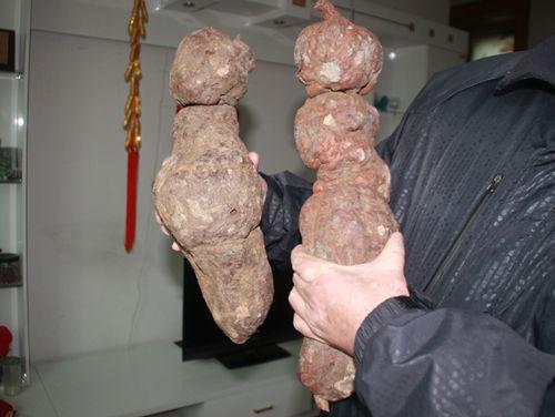 老农民在山上挖得两块大"地精",老中医说,至少有五百年的年份