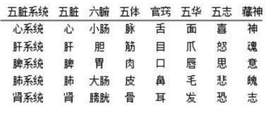 中医经典的藏象学说你知道吗中医精髓