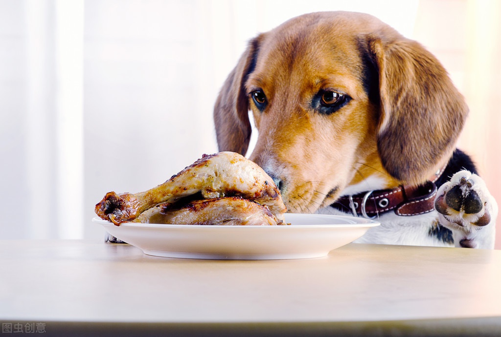 狗狗吃了这三种东西会得肾衰竭!最后一种你绝对想不到!