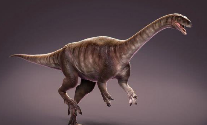 这是你没见过的恐龙,巴西发现"阿拉塔龙",体重比成年人还轻