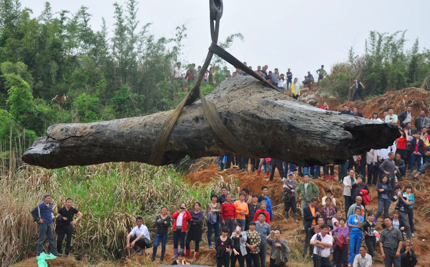 山体滑坡出现“千年神木”全村轰动,当地政府部门迅速前往现场休闲区蓝鸢梦想 - Www.slyday.coM 山体滑坡出现“千年神木”全村轰动,当地政府部门迅速前往现场休闲区蓝鸢梦想 - Www.slyday.coM