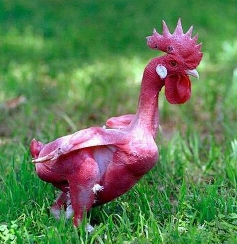 尿完尿还浑身起鸡皮疙瘩(小便的时候浑身起鸡皮疙瘩)