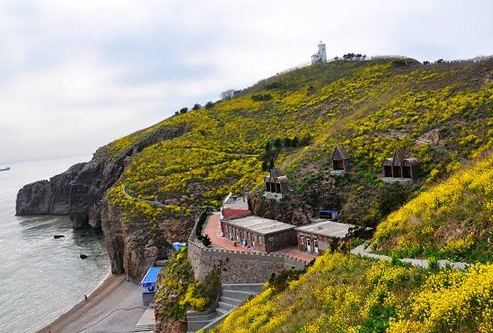 山东有座"花鸟王国",名字不是很优雅,如今只能远远静赏|海驴岛|花鸟