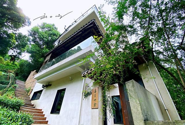 窗外都是茶园,住一晚需要2000元|龙井|民宿|龙井村_新浪新闻