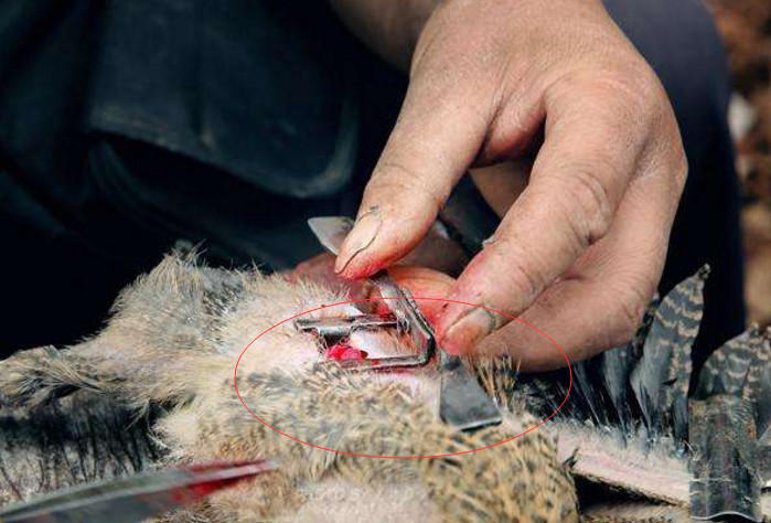 大叔在农村集市上凭借"独门"技术,日入几百元!