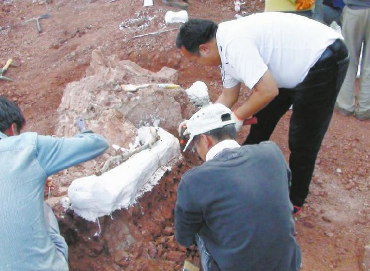 农村老汉山上捡到"龙骨",上交国家后获得巨额奖金