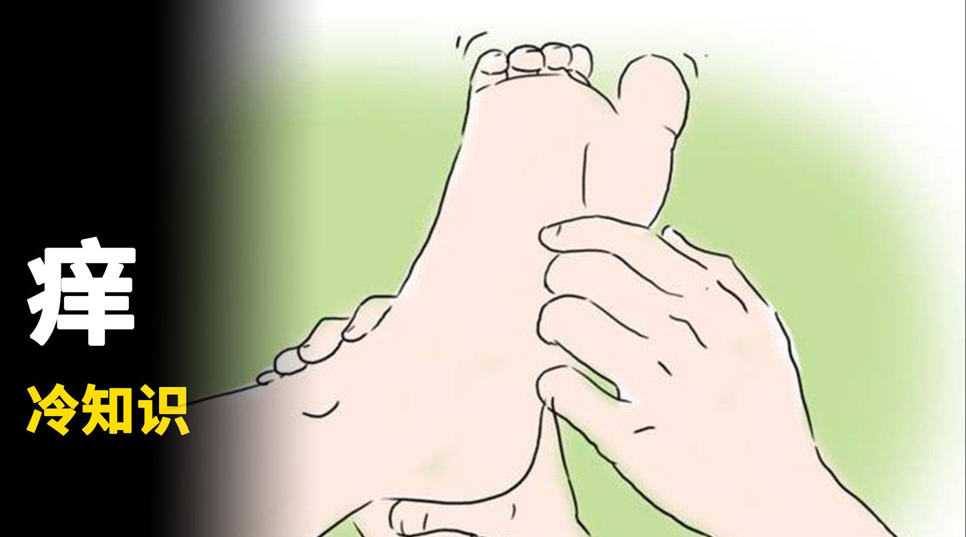 为什么自己挠自己不痒?别人挠就很痒?_新浪新闻
