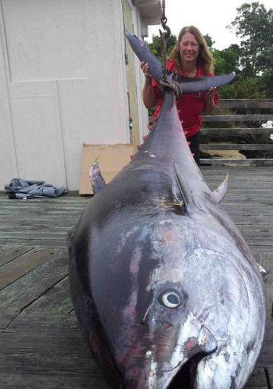 女子在海里捕获了一只400斤的大鱼,鉴定后的结果让她欣喜若狂