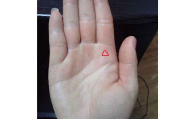 正文     感情线中末段出现一个倒挂的小三角纹,这种符号与聚财三角纹