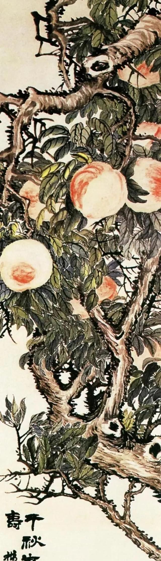 赵之谦画的花果树木笔墨十分的厚朴,设色方面则显得非常浓艳,构图疏密
