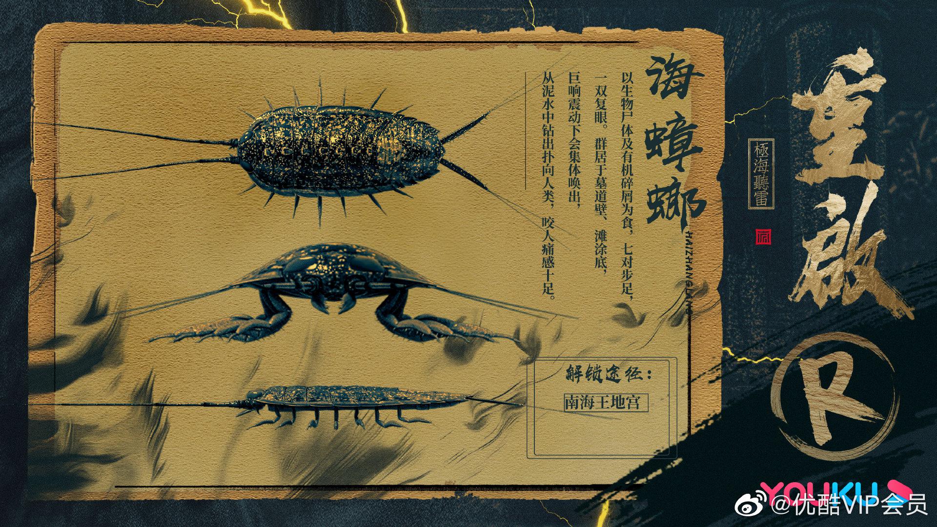 探险之路干货之海蟑螂科普图鉴,本酷独家提醒:密恐慎点