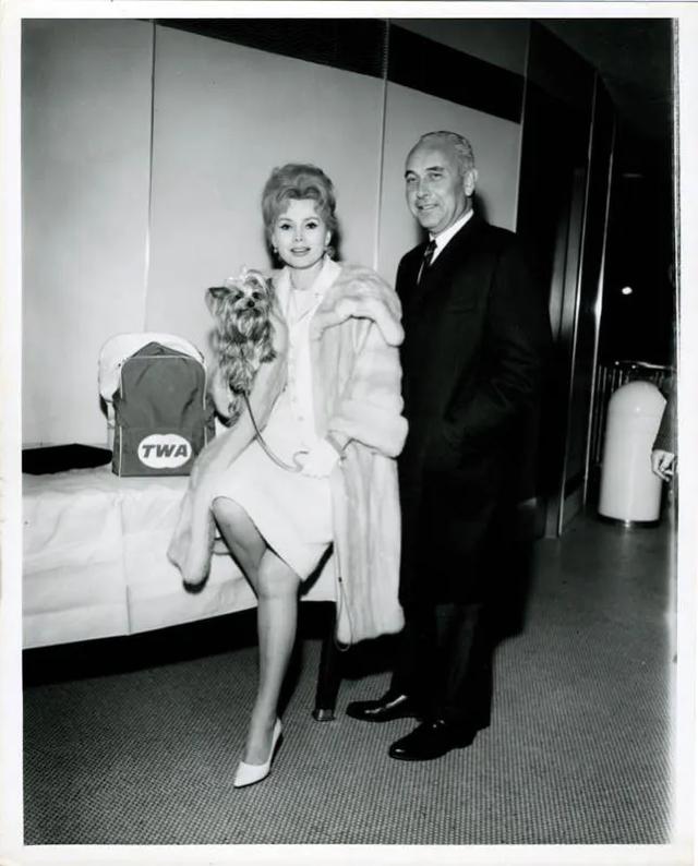 连前夫名字都记不住,论撩汉真没谁比得过她|嘉宝|莎莎|前夫_新浪新闻