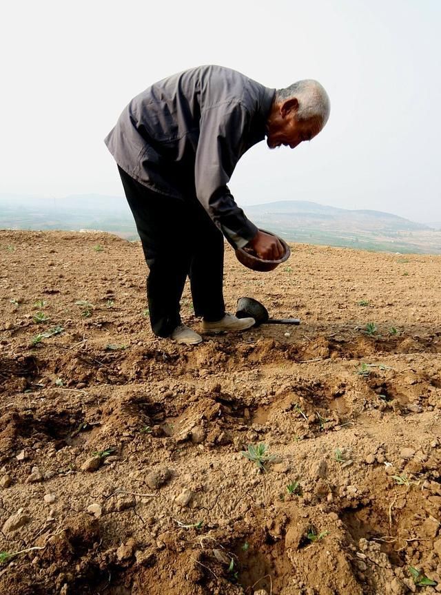 为何农村老人大多腰弯背驼,而城市老人脊梁坚挺?