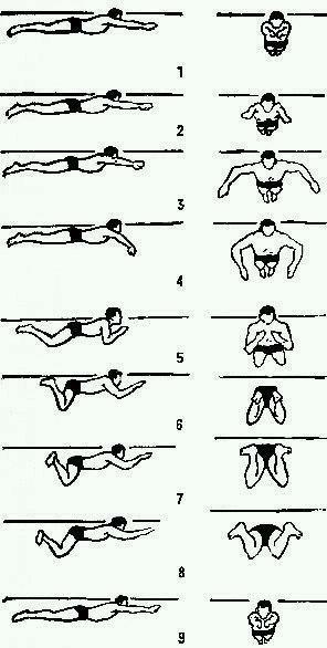 做法 站立姿势的排练 在抬起头的状态下,用手确认水面的位置