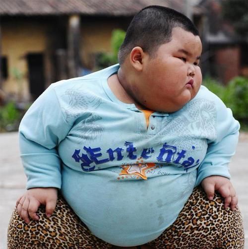 米其林宝宝走红用肉肉夹苍蝇宝妈笑哭天生就是捕蝇神器