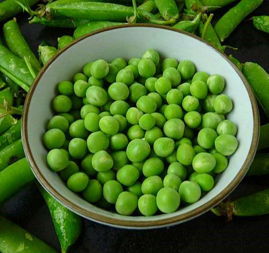 这3种青菜撒把种子就冒芽,夏天吃不完的新鲜菜,真过瘾|豌豆|青菜|蔬菜