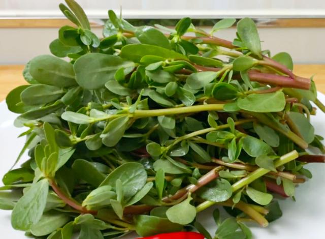 马齿苋最经典的做法一次做一大盘补铁补钙比吃肉还过瘾
