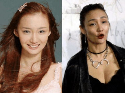 明星吸毒前后对比图相貌变化太过惊人自毁前途让人遗憾
