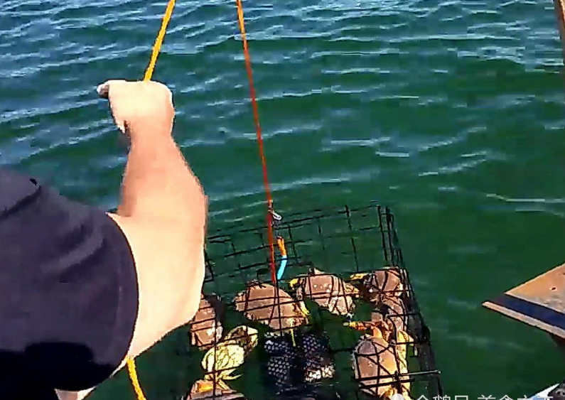 60岁老人海上捉螃蟹,一笼罩上14只,瘦的扔掉肥的出锅吃太香