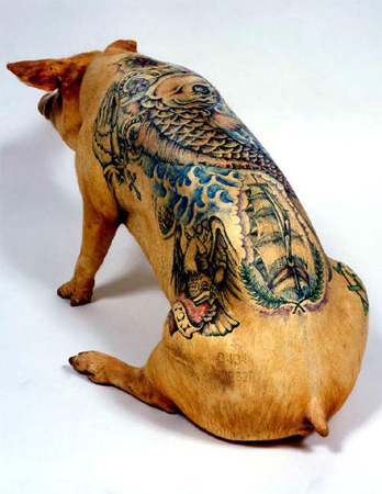 艺术家为猪作纹身每一只纹身猪将以百万价格拍卖出