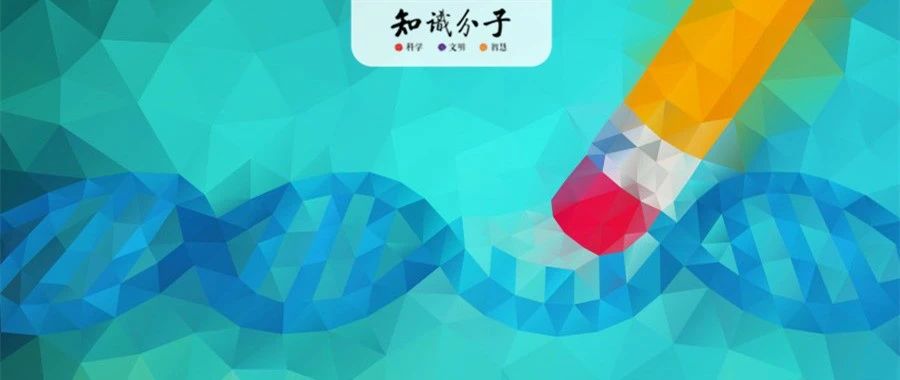 一步实现作物杂交制种,基因编辑技术将引领农业变革?|玉米|杂交|不育系|杂交种|作物_新浪新闻