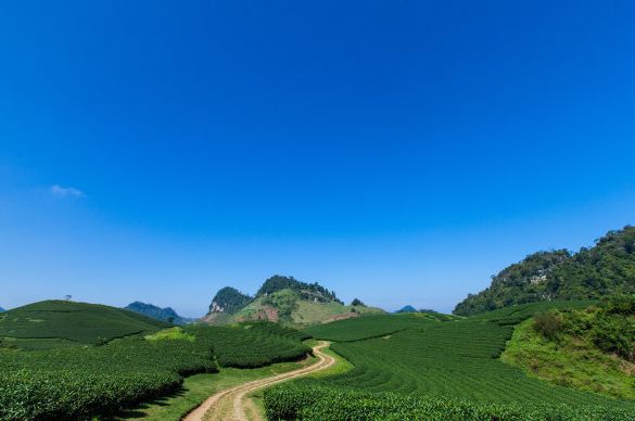 步入7月下旬4属相走好运挣大钱腰缠万贯大富大贵前程似锦