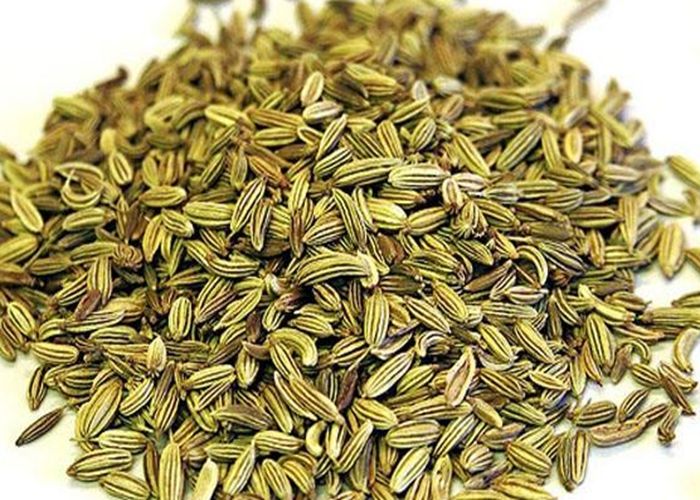 茴香|小茴香|细胞_新浪新闻