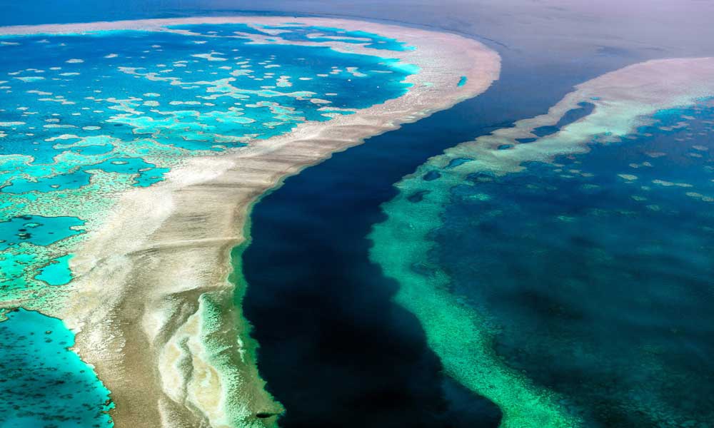 大堡礁正面临着最广泛的白化现象