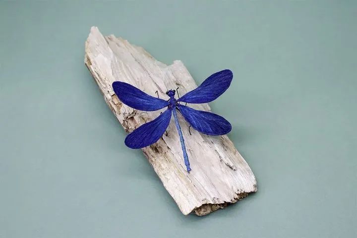 精美的昆虫纸雕,造型栩栩如生,让人惊呼不可思议