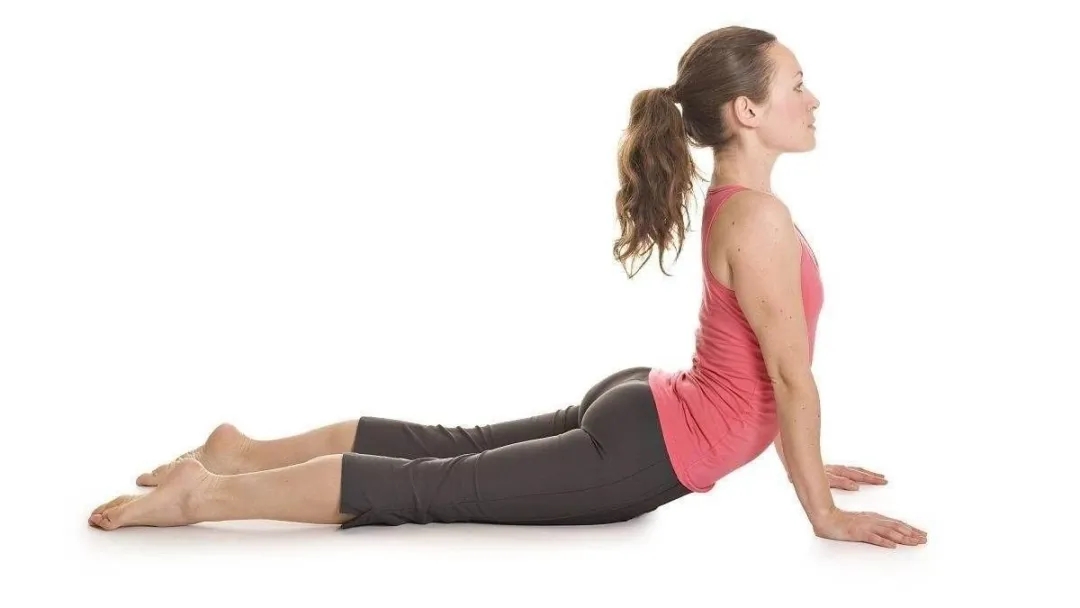 8个转肩提臂动作,成功打造你的纤薄少女背|双腿|背部|双倍_新浪新闻