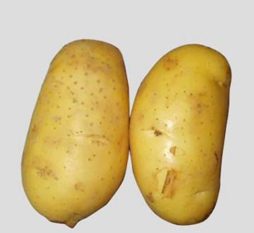 土豆新吃法,圆滚滚的土豆球淋上肉酱汁,造型可爱,口味软糯香甜