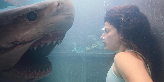 深海狂鲨3大白鲨被牛鲨虐杀又来一部值得一看的鲨鱼电影