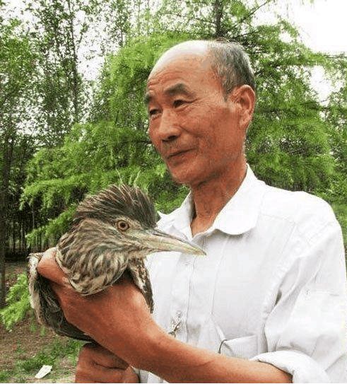 大爷无意中救了一只鸟鸟儿报恩方式让邻居羡慕不已