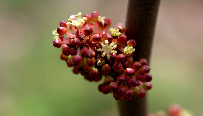 7月下旬喜鹊蹄鸣姻缘转运邂逅佳缘的星座甜甜爱情开始了