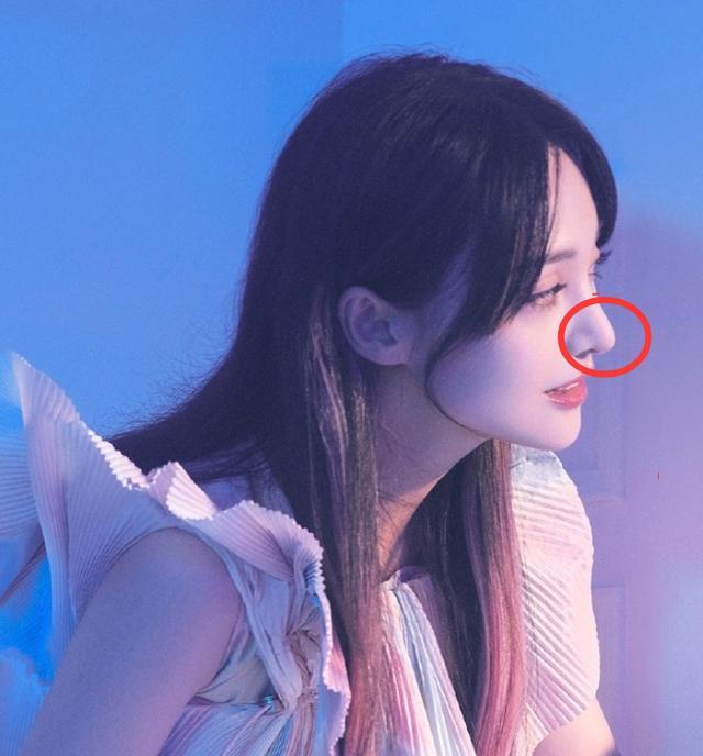 郑爽公布最新杂志封面,仙女下凡染一头紫色头发,鼻子依旧很抢镜